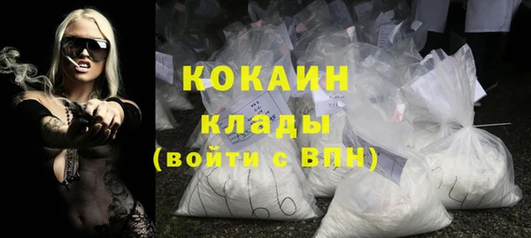 стаф Аркадак