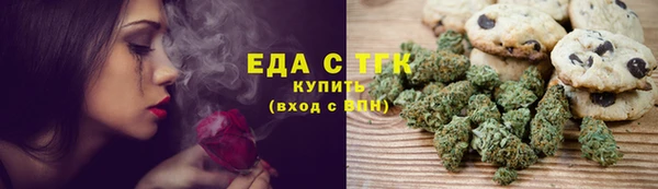 стаф Аркадак