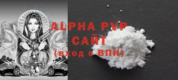 стаф Аркадак