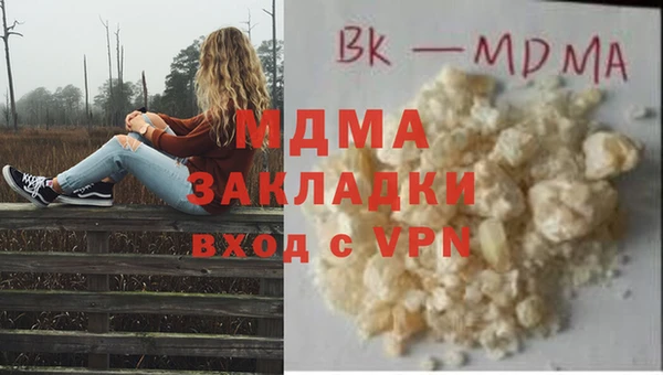 стаф Аркадак