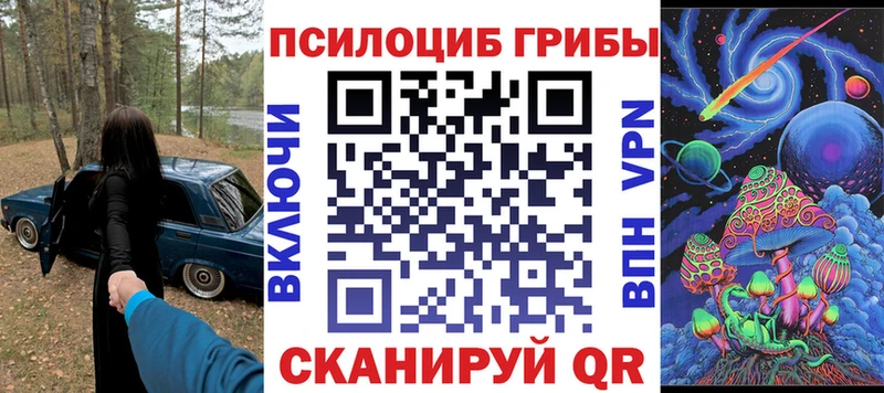 купить закладку  Орёл  Псилоцибиновые грибы мицелий 